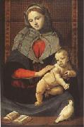The Virgin and Child with a Dove (mk05) Piero di Cosimo